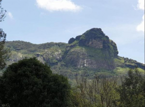 The Sattva Nature Retreat